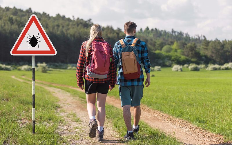 Lyme Disease: Symptoms, Diagnosis and Treatment